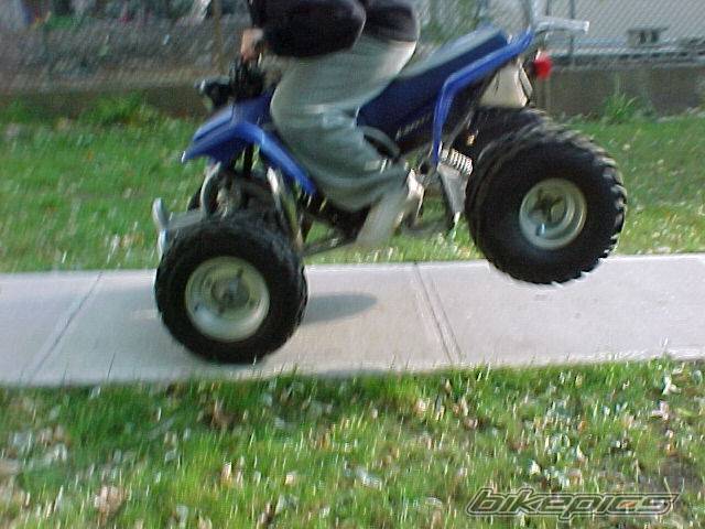 Photo 73986