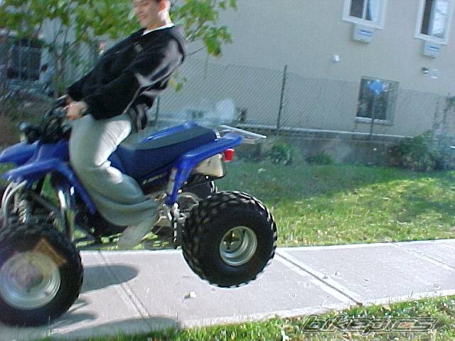 Photo 73987