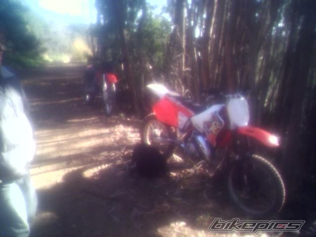 Bike Photo 739984