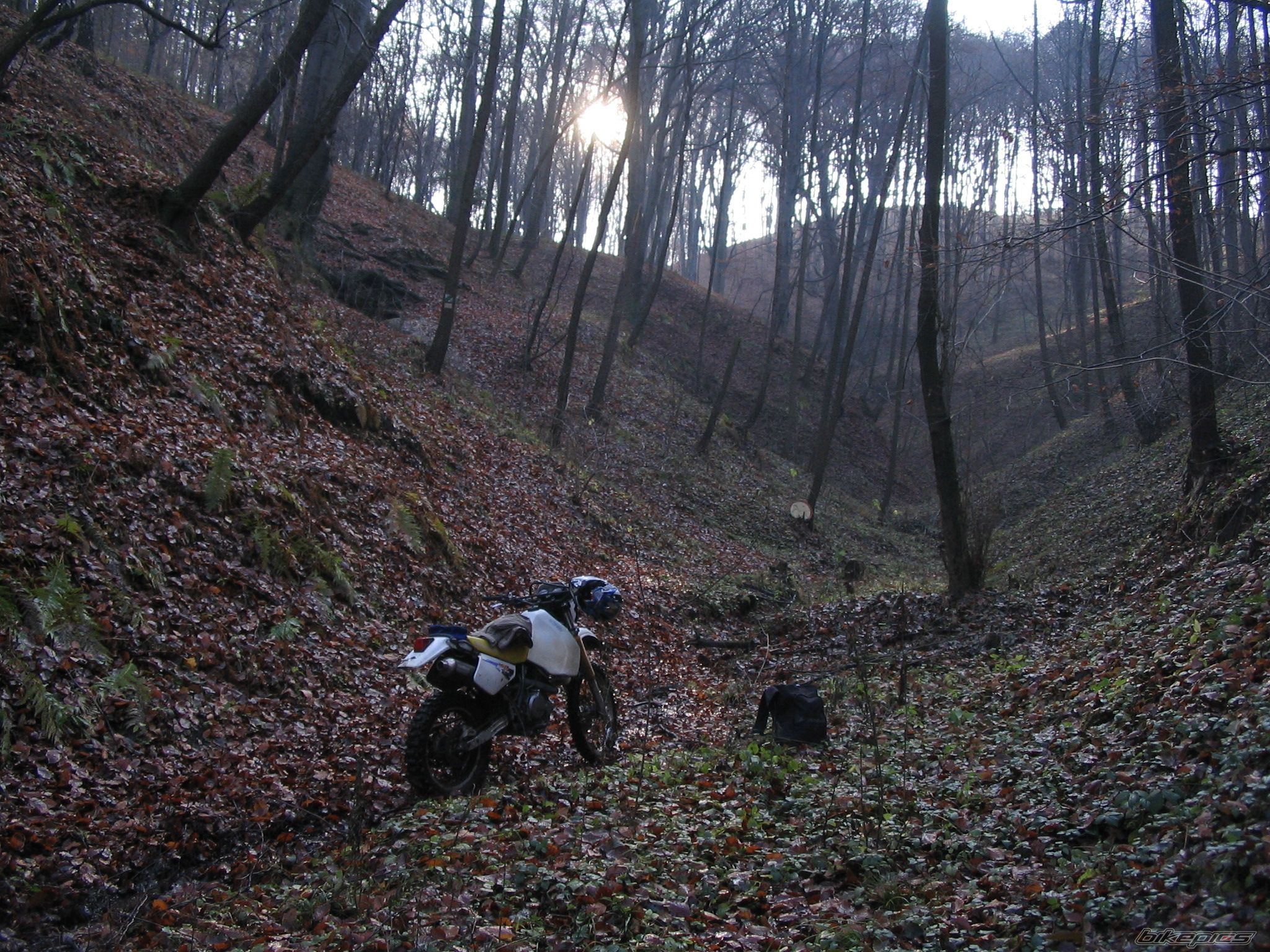Bike Photo 740104