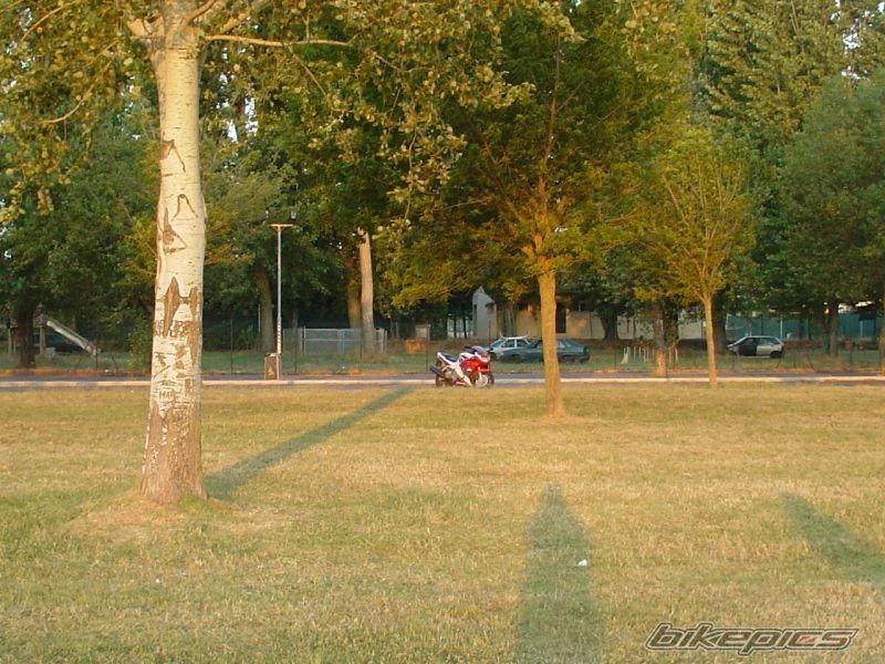 Photo 740106