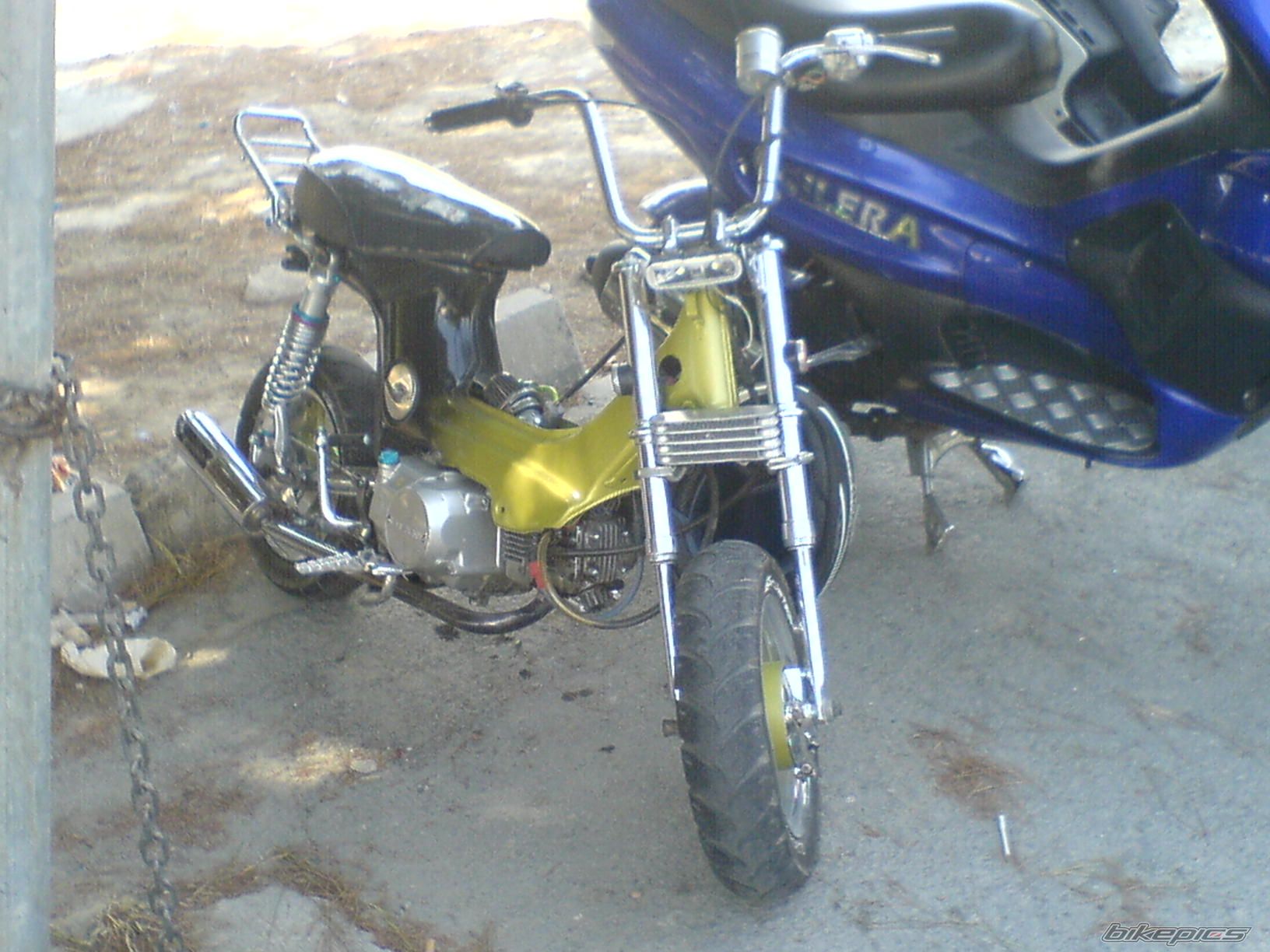 Photo 740368