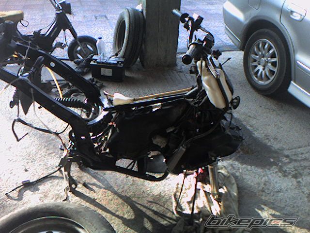 Photo 740386
