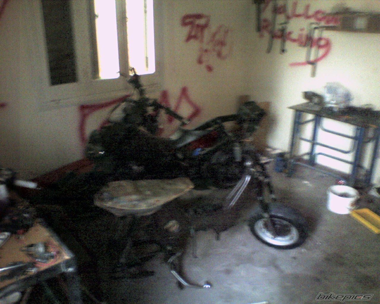 Photo 740432