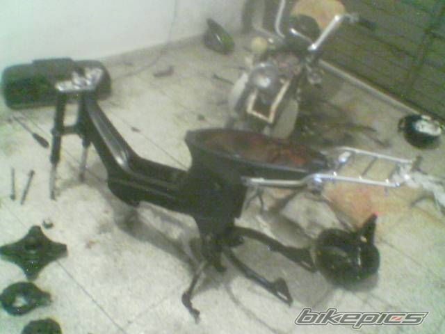 Photo 740436