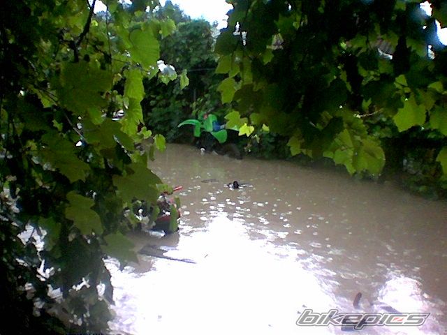 Photo 740556