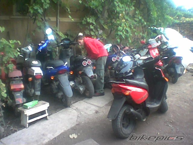 Photo 740590