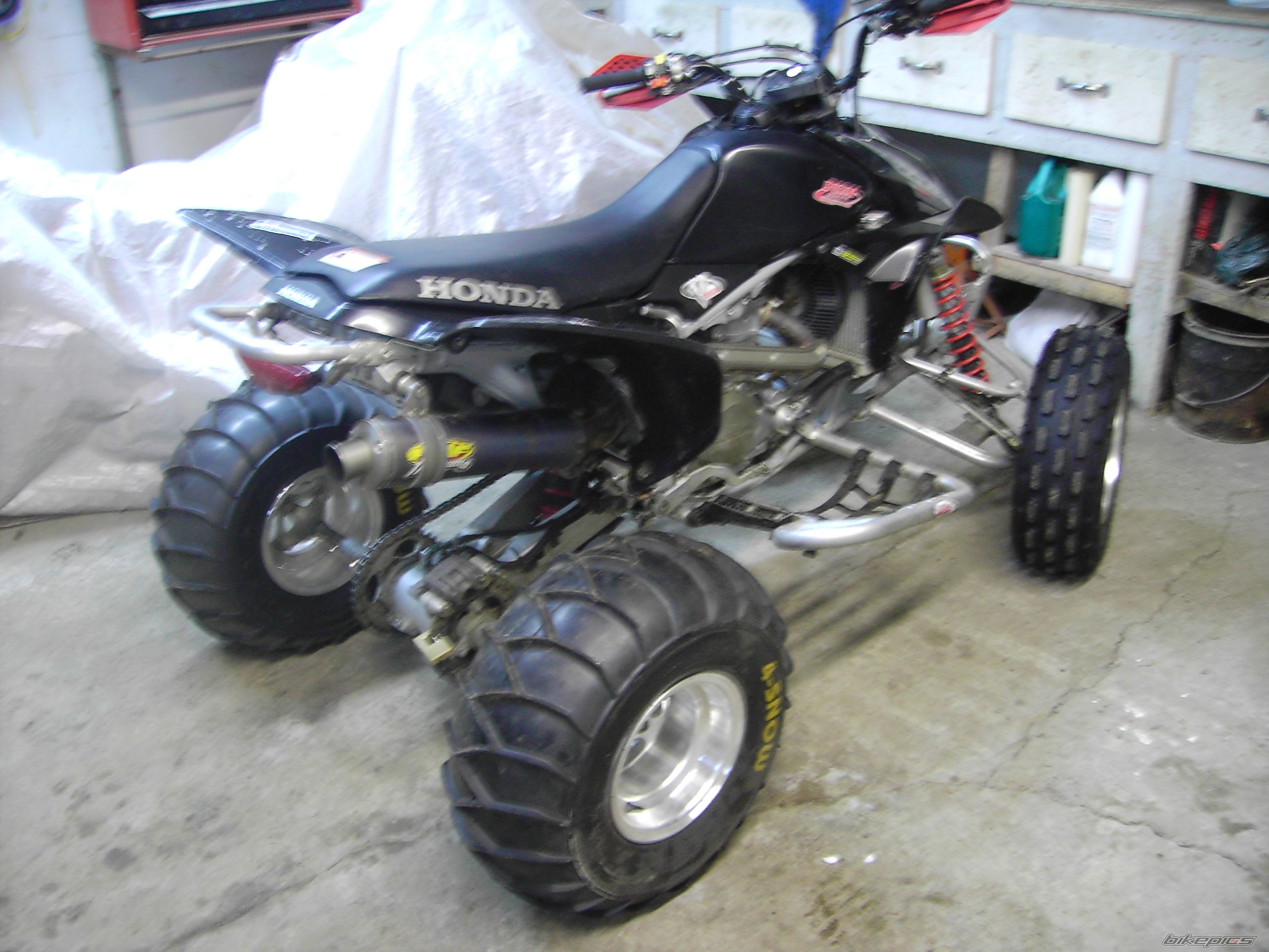 Photo 740712
