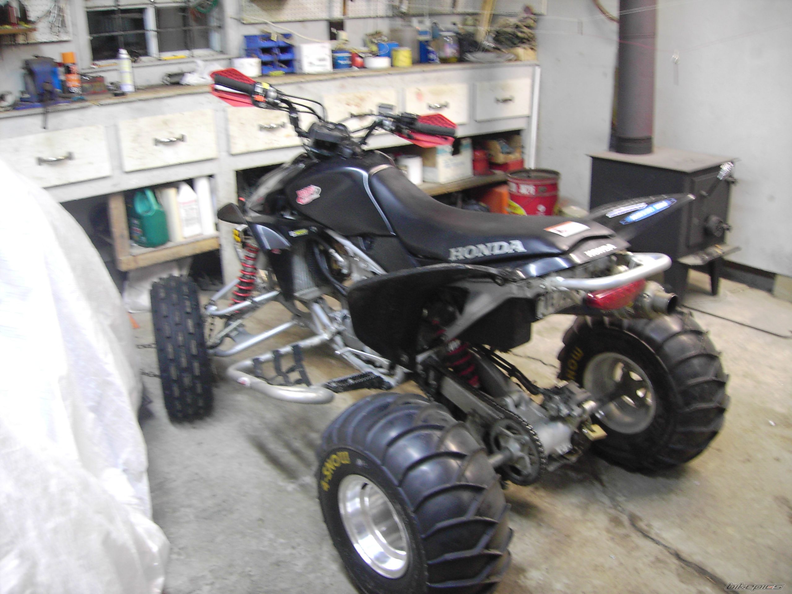 Photo 740716