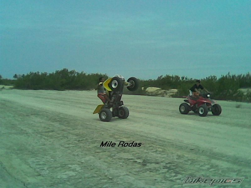 Photo 740926