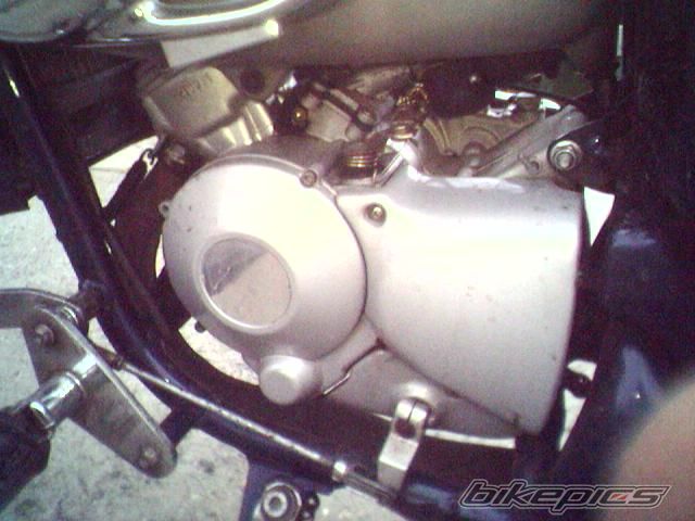 Photo 741987