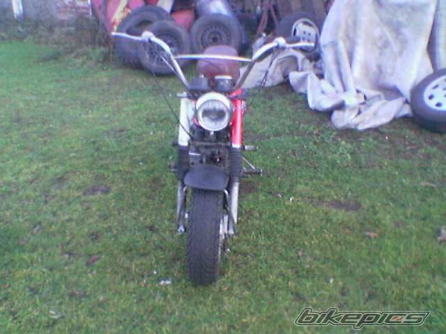Photo 742254