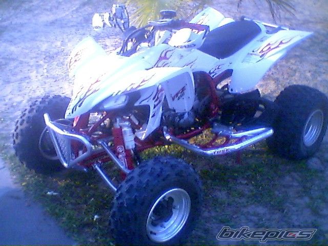 Photo 742383