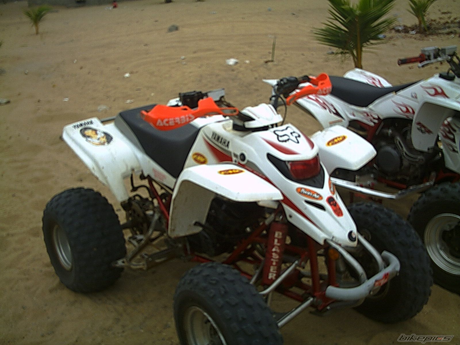 Photo 742413