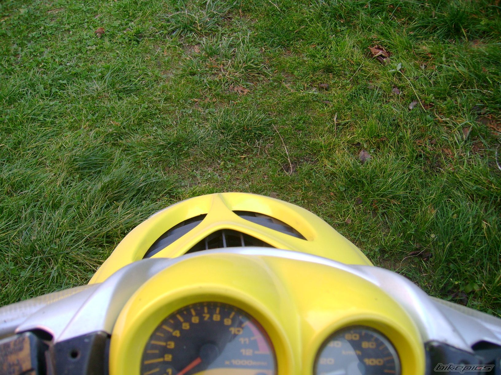 Photo 742467
