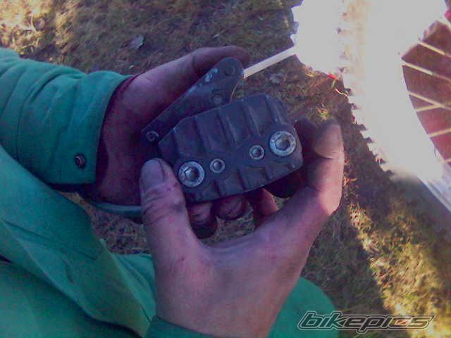 Photo 742727