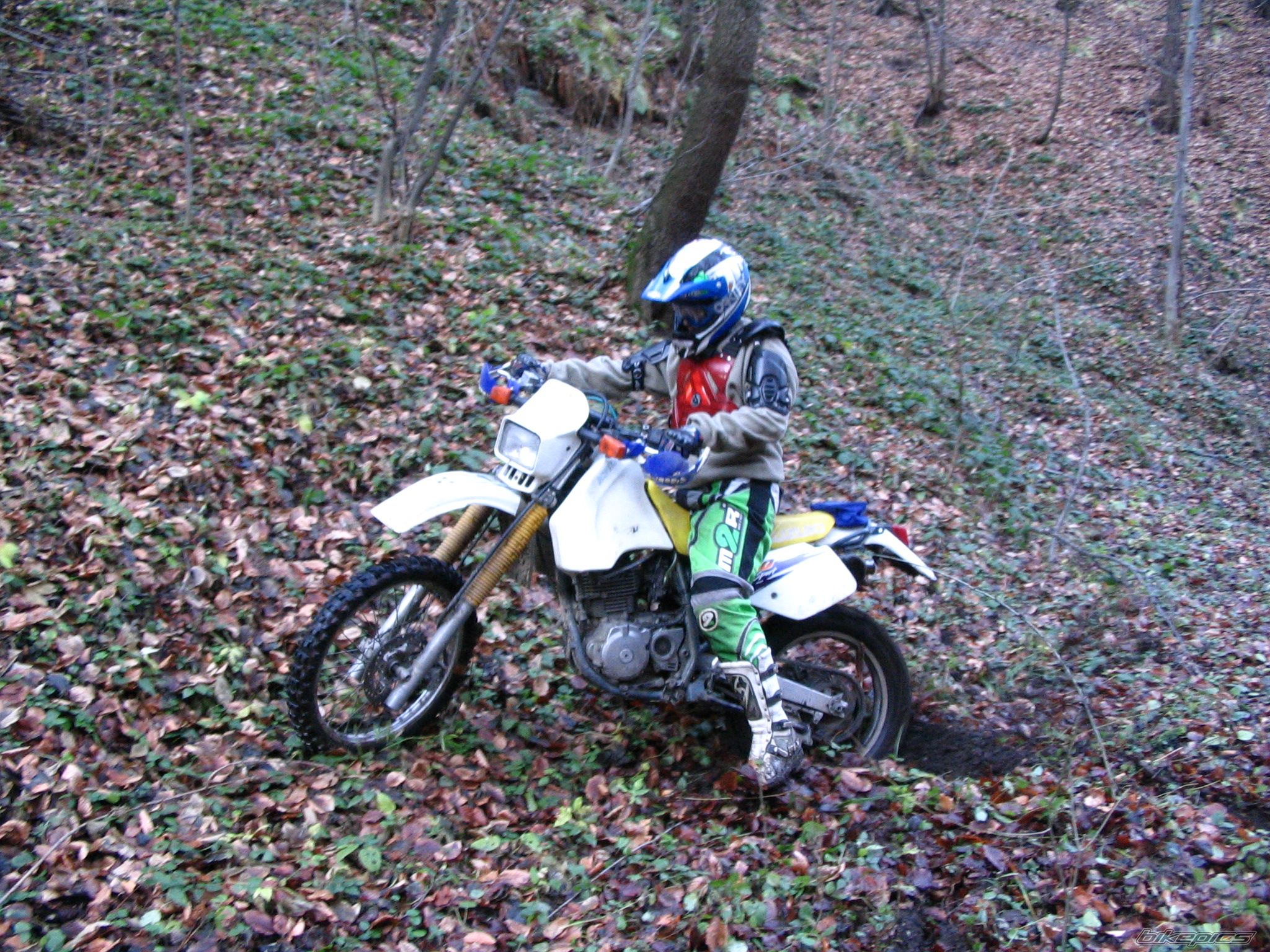 Photo 742789