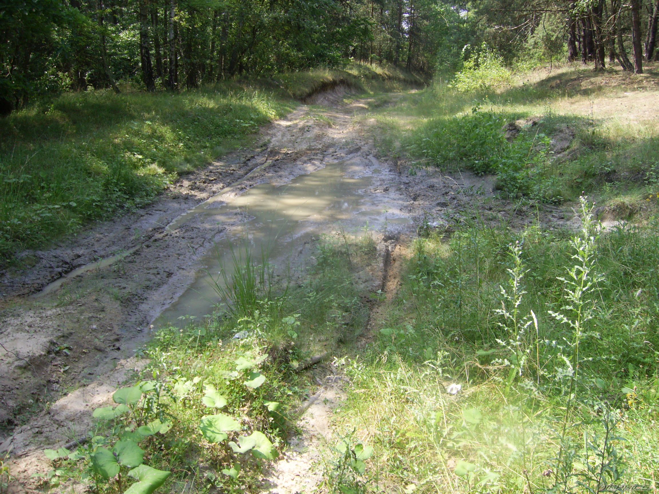Photo 742836