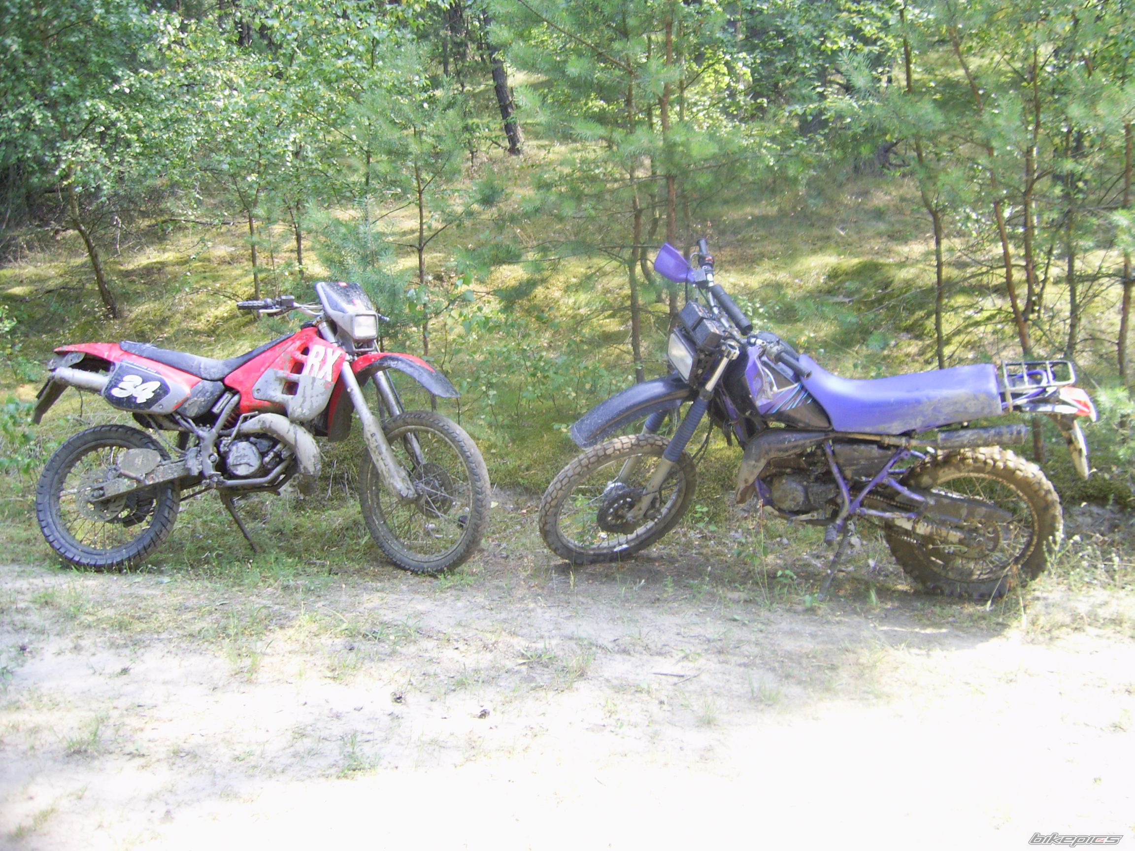 Photo 742845