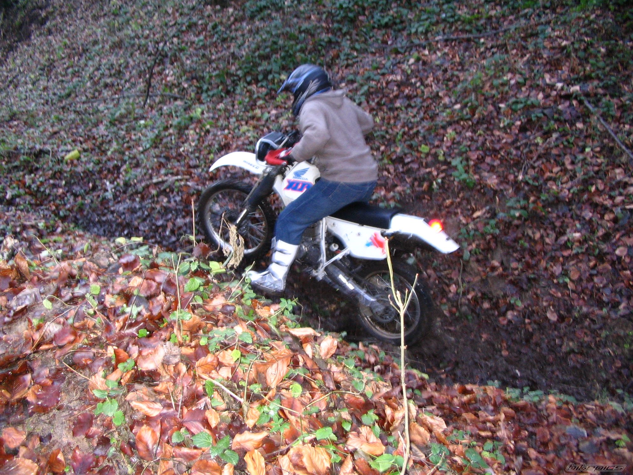 Photo 742921
