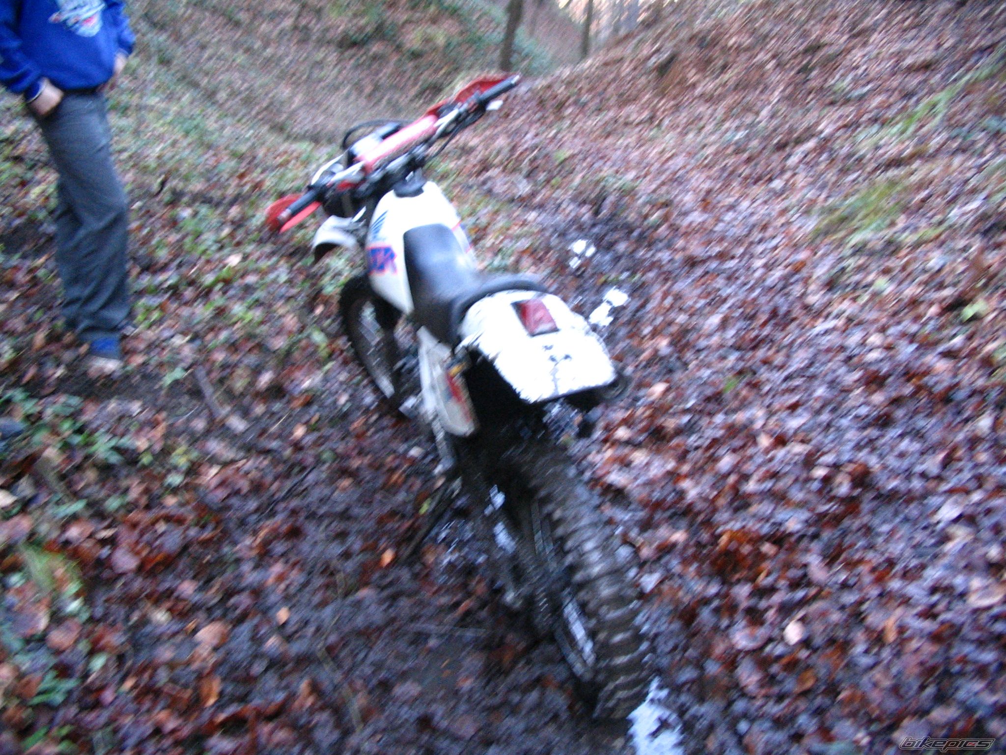 Photo 742940