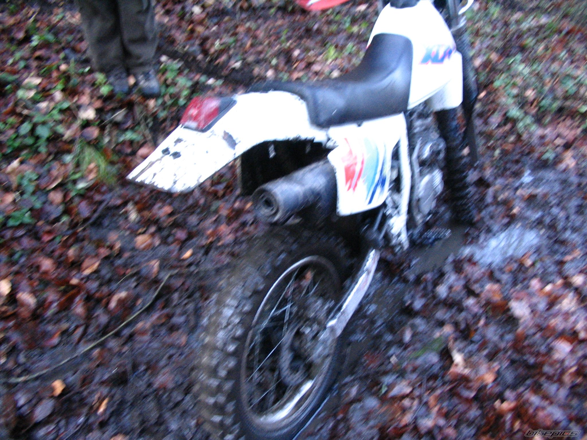 Photo 742945