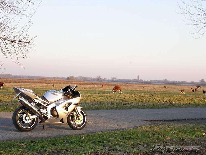 Bike Photo 743227