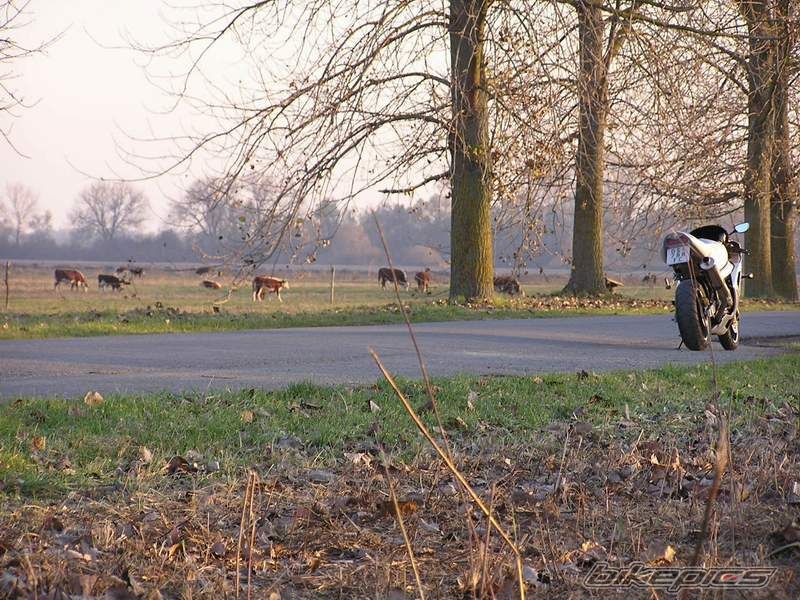 Bike Photo 743228