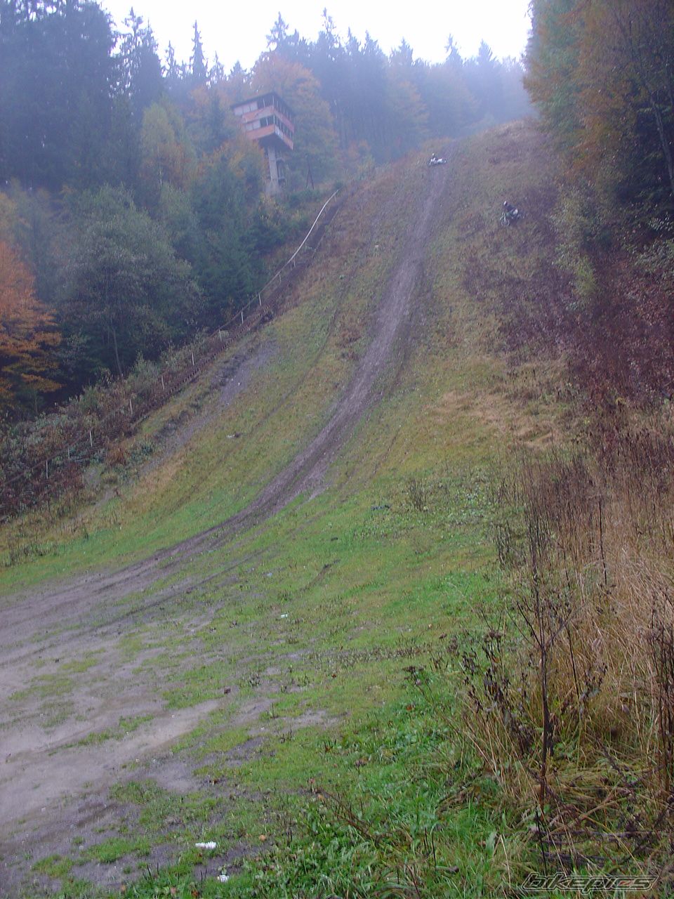 Photo 743539
