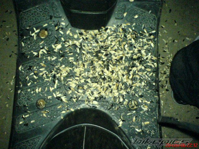 Photo 743933