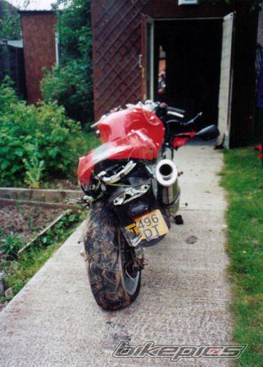 Photo 7442