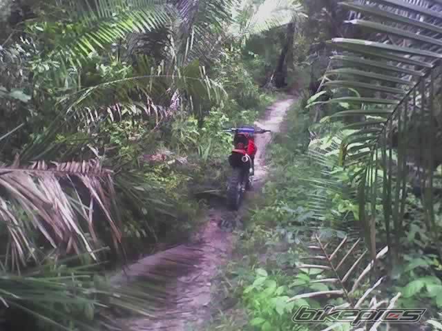 Bike Photo 744321