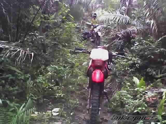 Bike Photo 744324