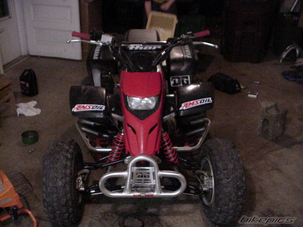 Photo 74457