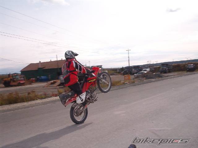 Photo 74499