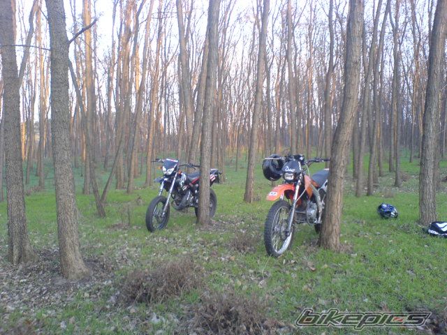 Bike Photo 745446