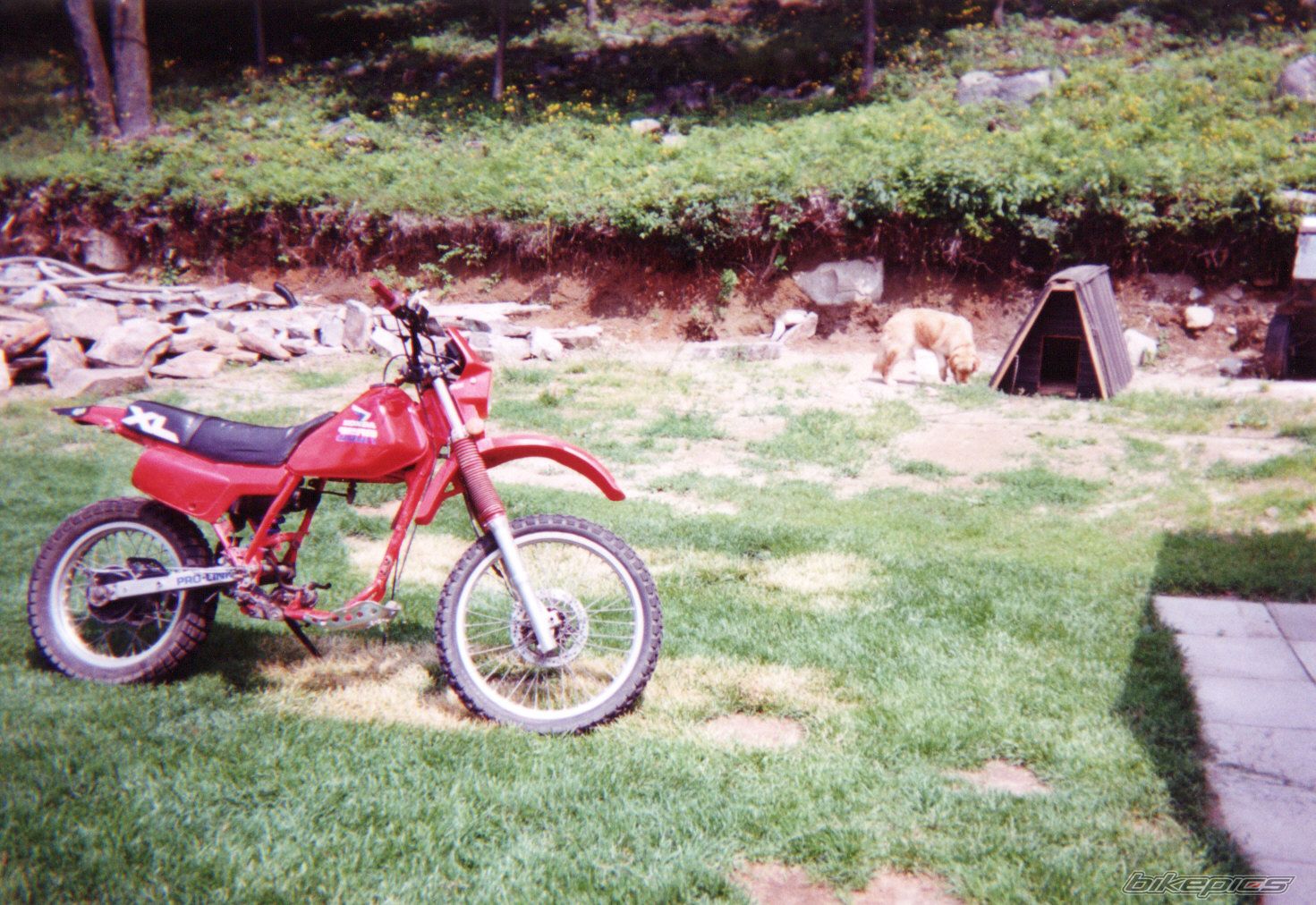 Photo 745813