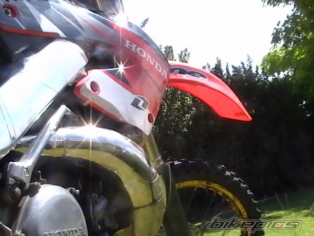 Photo 745957