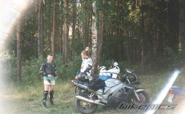 Photo 74599