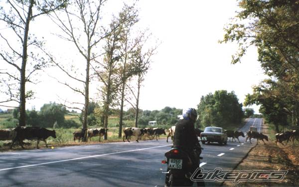 Photo 74619