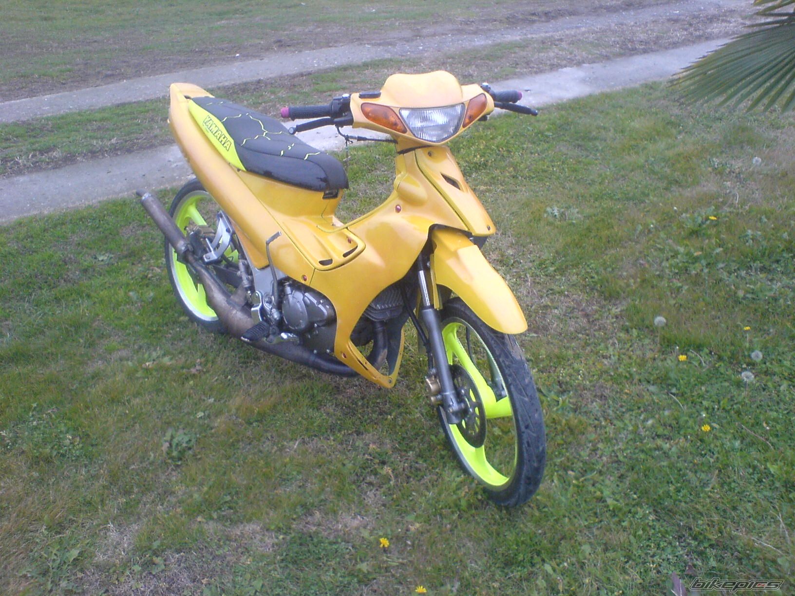 Photo 746432