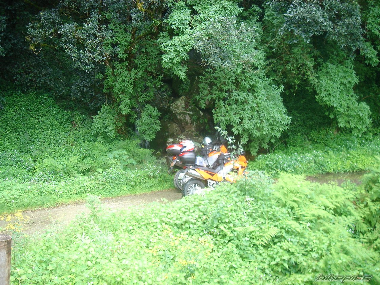 Photo 746442
