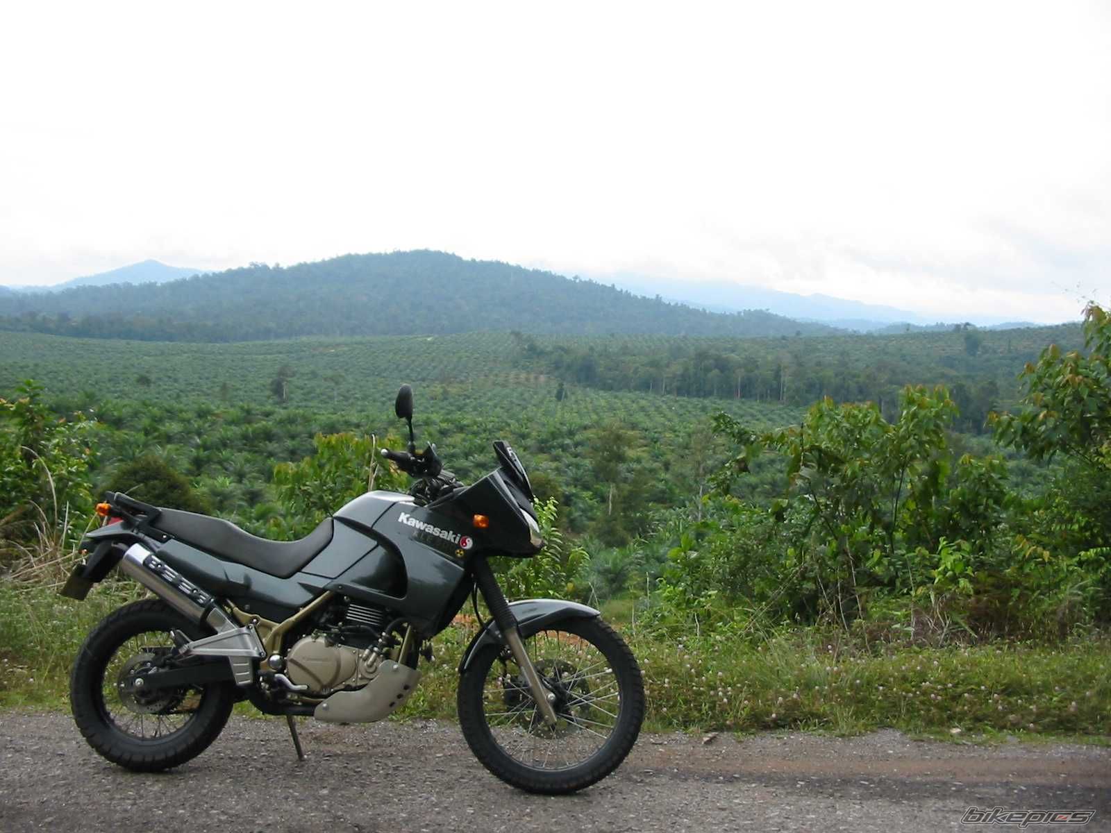 Bike Photo 746534