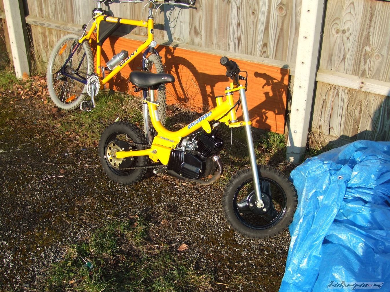 Photo 747090
