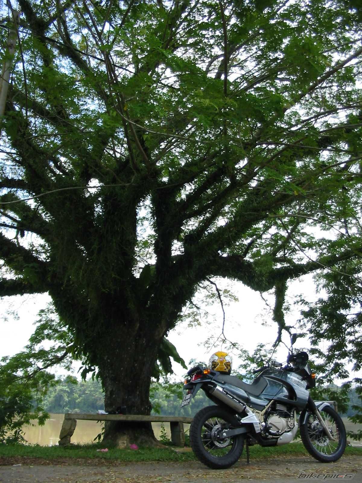 Bike Photo 747132