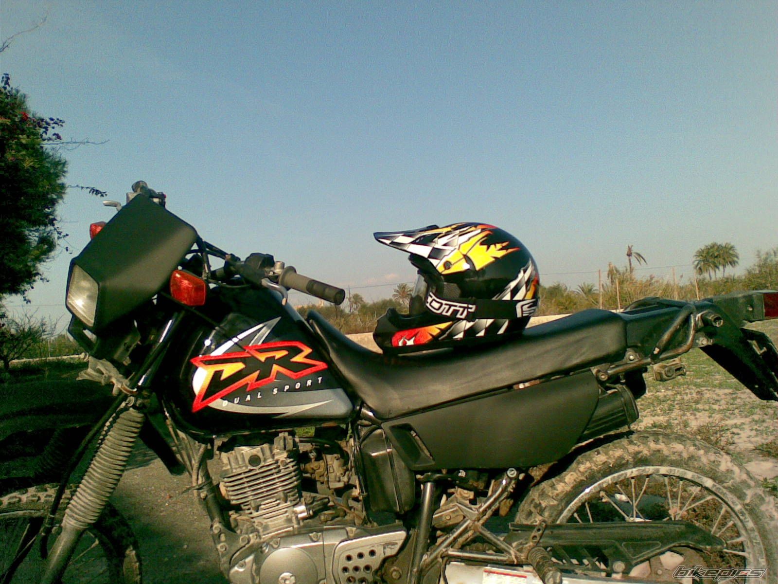 Photo 747263