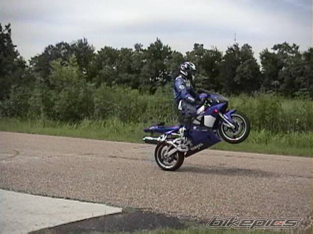 Photo 7475