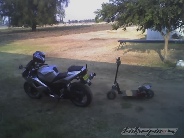 Photo 747782