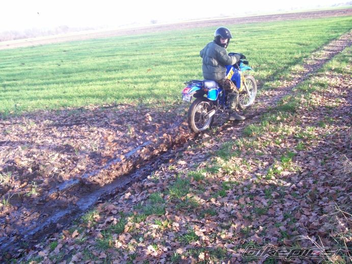 Photo 747979