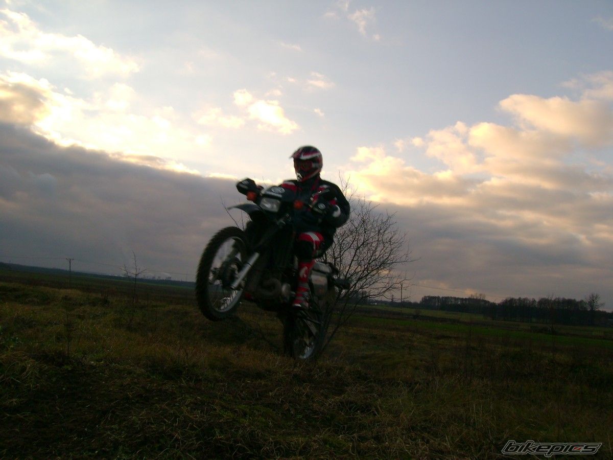 Photo 748681
